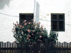 obanj01a