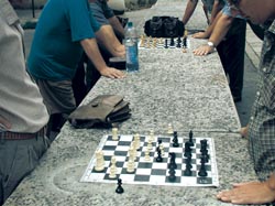 schaak09a